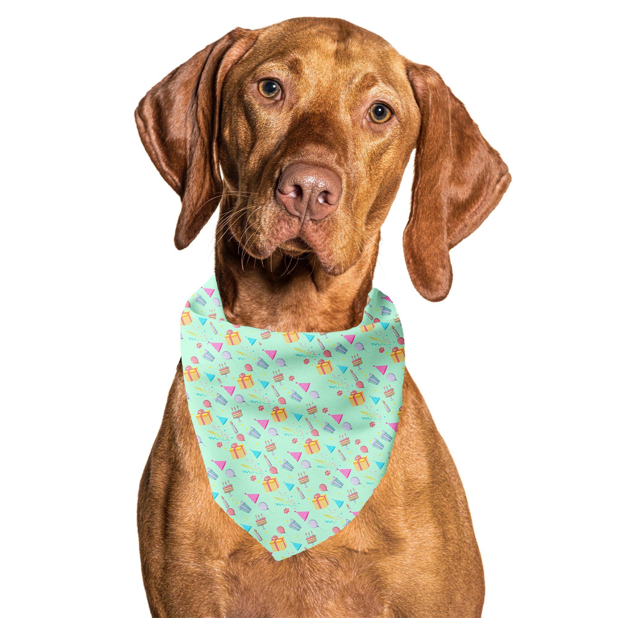 Happy Birthday Aqua Tie On Dog Bandana: S (25lbs & under or neck up to 15")