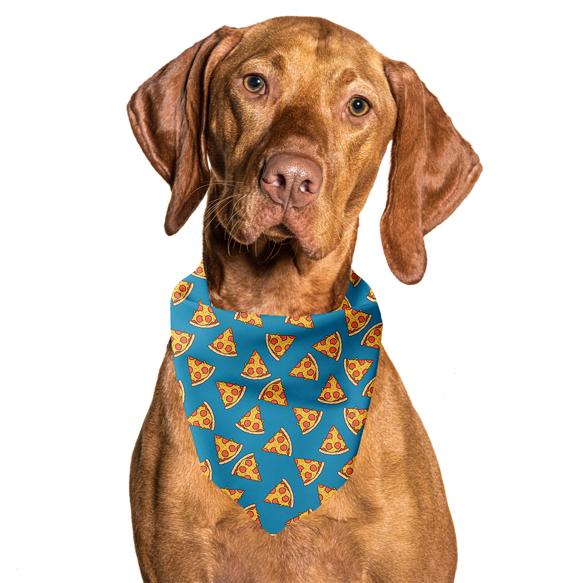I Usually Only Get The Crust Pizza Tie On Dog Bandana: S (25lbs & under or neck up to 15")